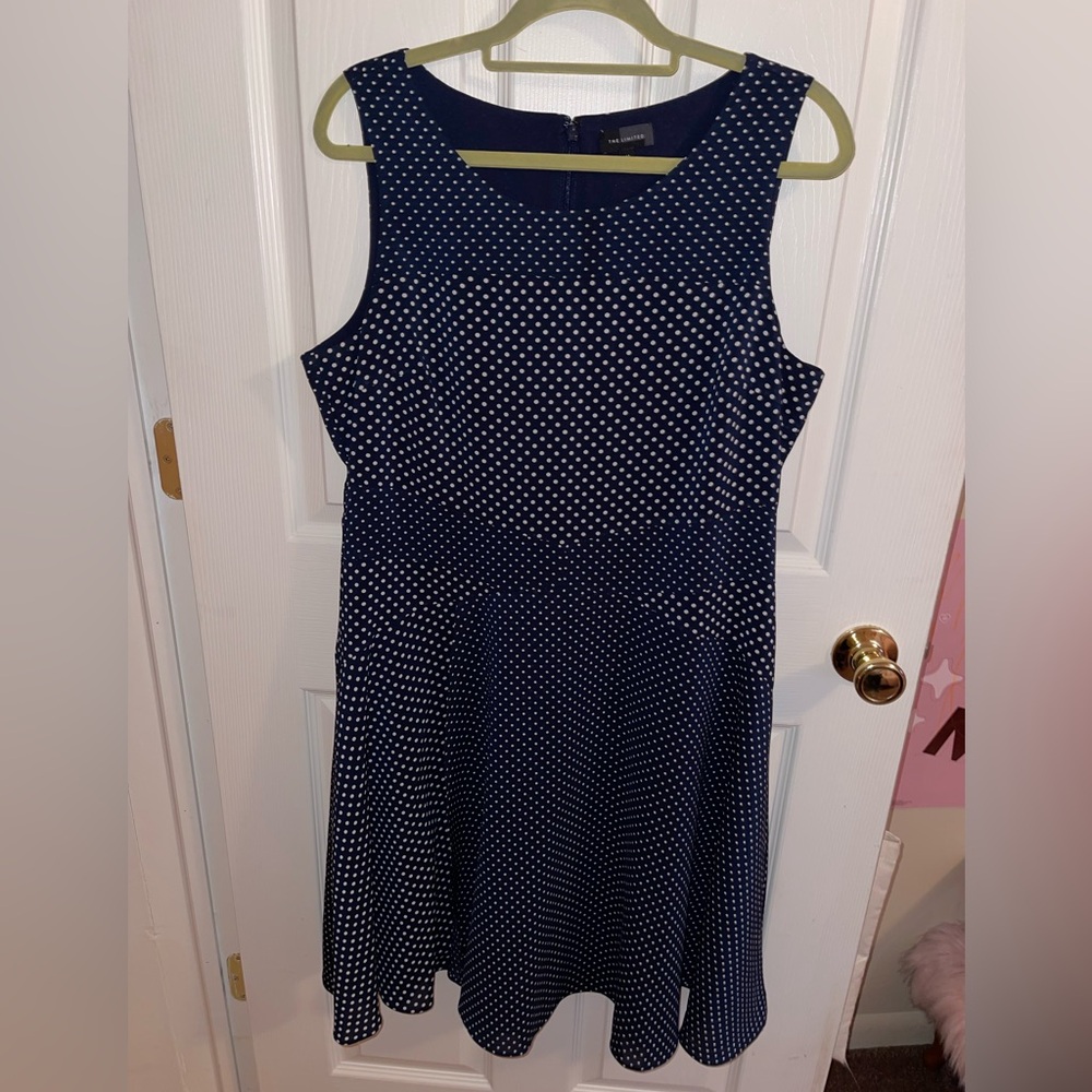 The Limited navy with white polka dot dress 14